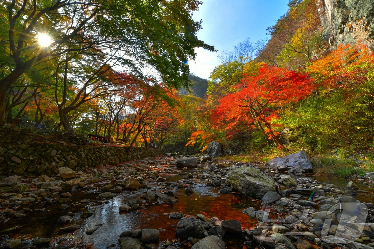 전북 순창군 강천산군립공원 계곡.(순창군 제공)/뉴스1    