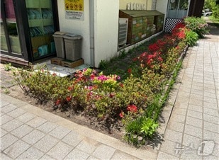 (서울 광진구 제공) 