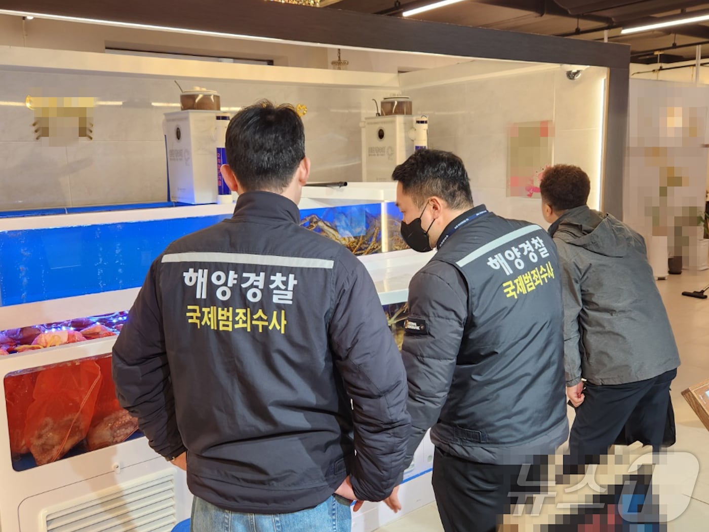 수산물 원산지 단속하는 속초해경 경찰관.(속초해경 제공) 2025.1.21/뉴스1