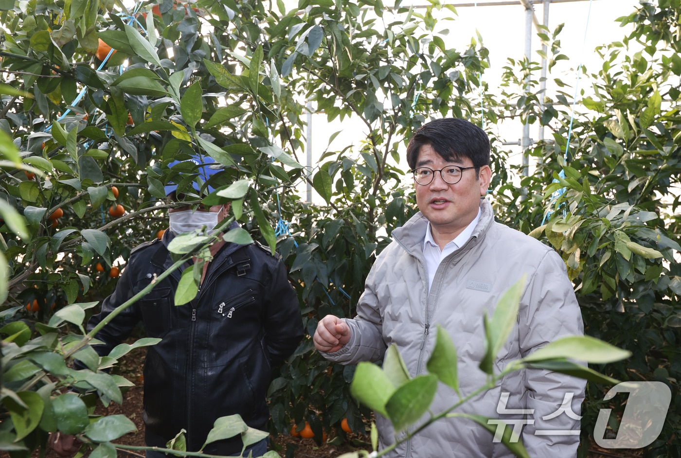 권재한 농촌진흥청장이 21일 제주도 제주시 윈터프린스 재배 농가를 찾아 생육 상황을 살펴보며 관계자들과 대화하고 있다. (농촌진흥청 제공) 2025.1.21/뉴스1