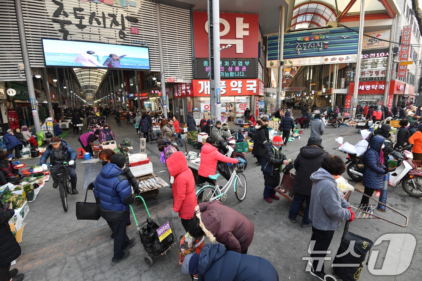 포항시 북구 죽도시장 모습. 2025.1.22/뉴스1 ⓒ News1 최창호 기자