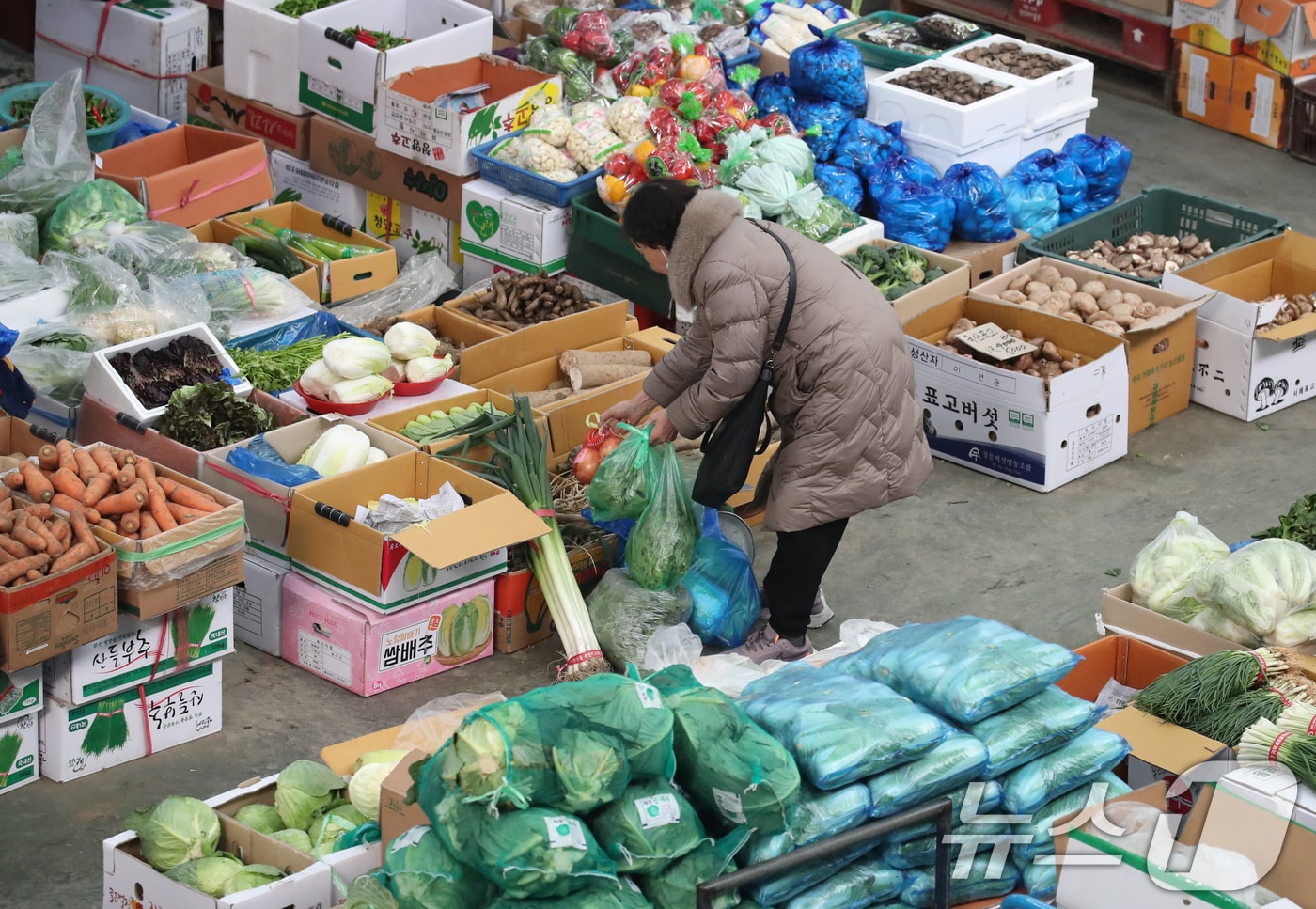 설 명절을 앞두고 22일 대전 유성구 노은농수산물시장에서 시민들이 장을 보고 있다. 2025.1.22 ⓒ 뉴스1 김기태 기자