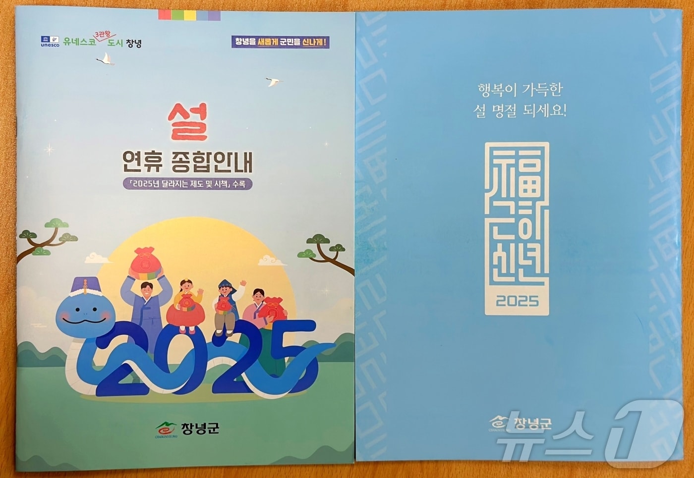 창녕군 설 종합대책 안내 책자(창녕군 제공).