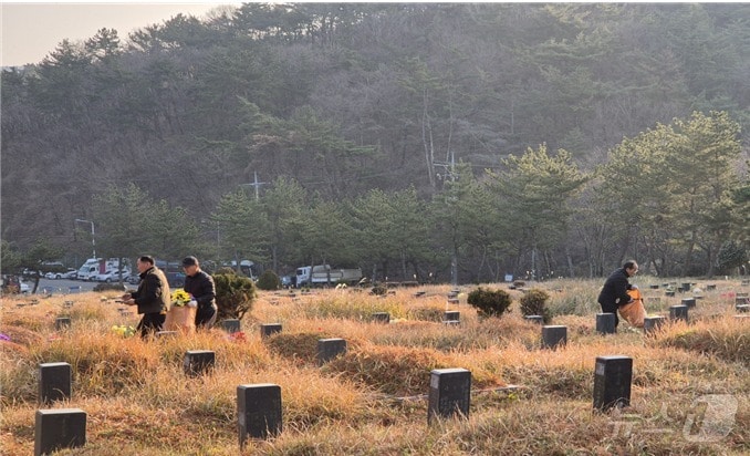 부산영락공원에서 부산시설공단 관계자, 노인일자리 사업 참여자들이 플라스틱 조화를 수거하고 있다.(부산시 제공)