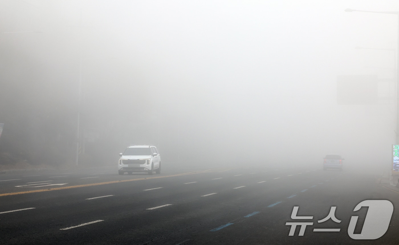 안개낀 도로./뉴스1