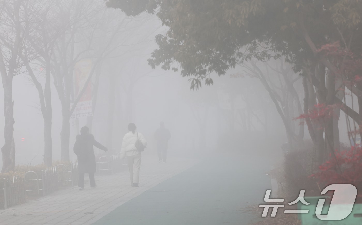 광주 서구 김대중컨벤션센터 인근 인도에 짙은 안개가 낀 모습./뉴스1 ⓒ News1 김태성 기자