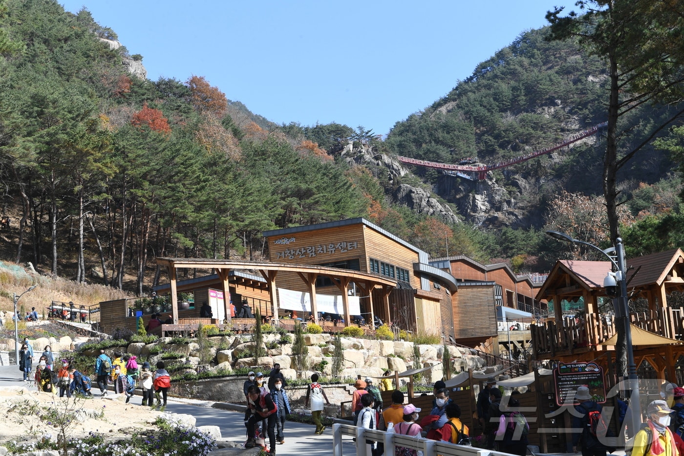 거창 항노화 힐링랜드 산림치유센터(거창군 제공).