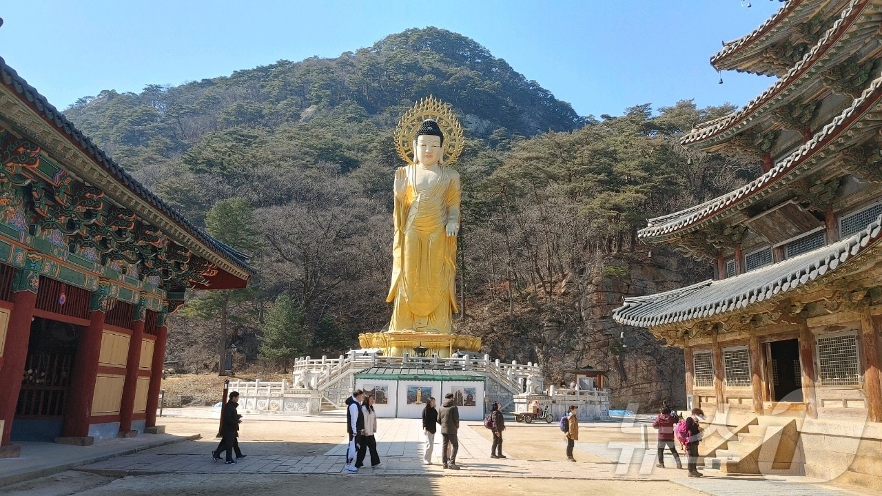 충북 보은군 속리산 법주사 /뉴스1 ⓒ News1 장인수 기자