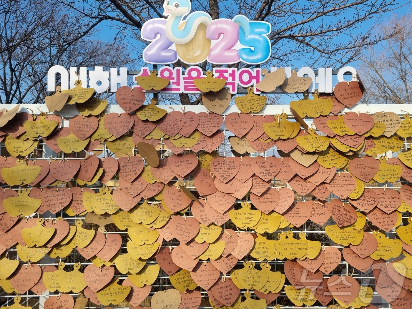 경산시 공원 등에 설치된 소원성취대에 시민들의 소원지가 빼곡히 걸려 있다. (경산시 제공) 2025.1.24/뉴스1