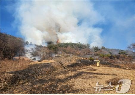전남 장성군의 한 야산에서 산불이 나 연기가 치솟아 오르고 있다.(산림청 제공) 2025.1.25