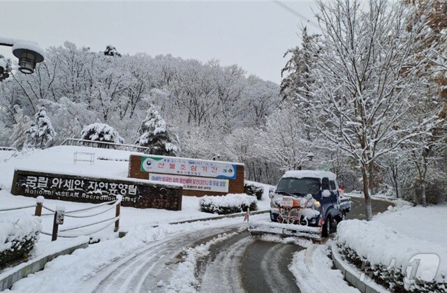 국립아세안 휴양림 제설 작업 모습 (자료사진) (산림청 제공)/뉴스1