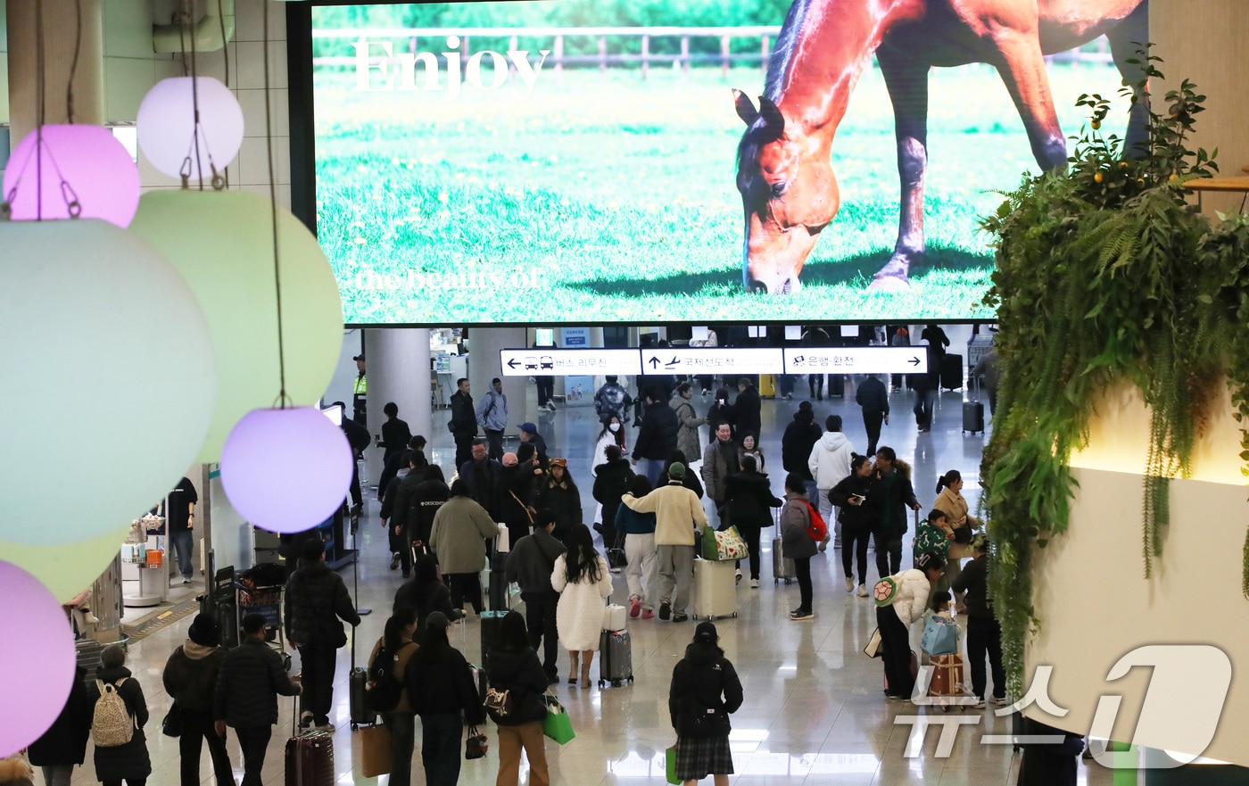 제주국제공항(자료사진)/뉴스1