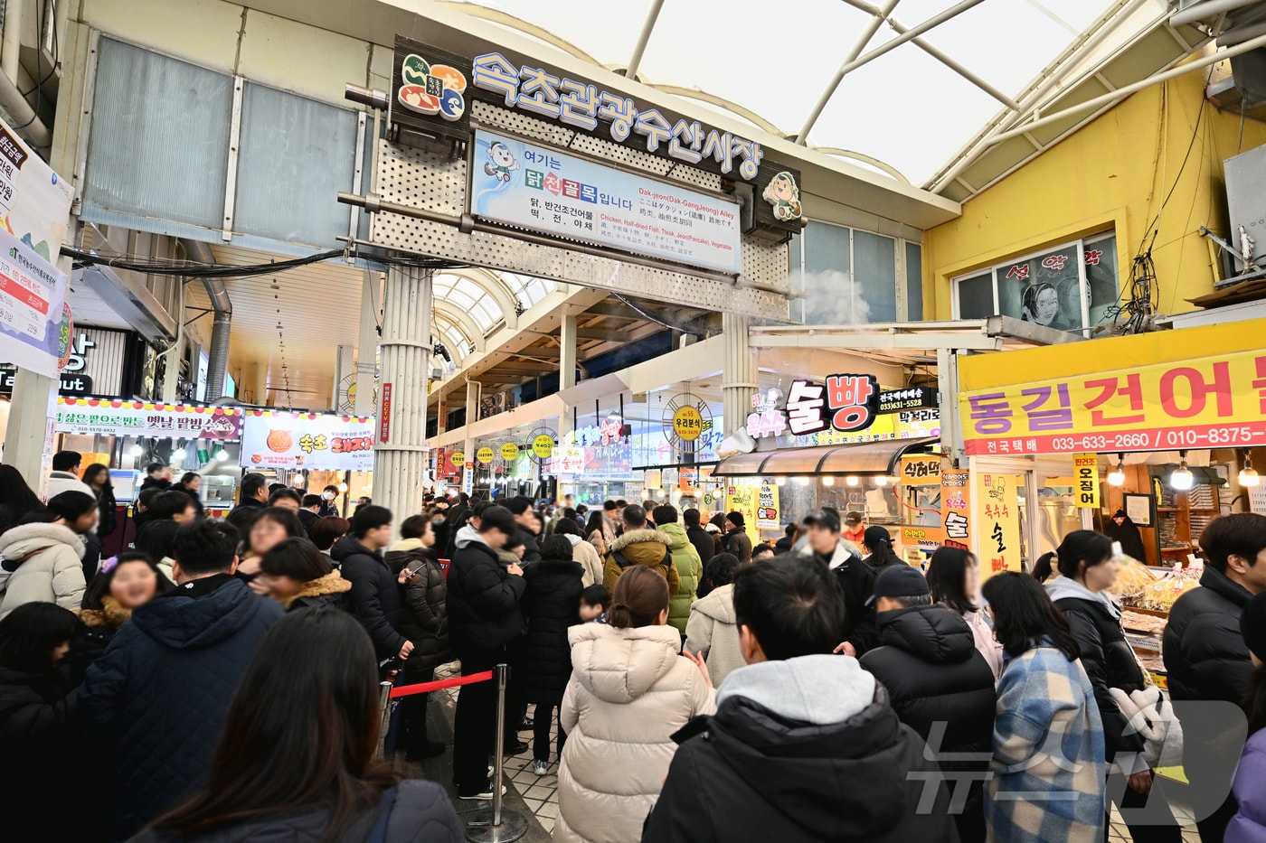 북적이는 속초관광수산시장.(속초시 제공 자료사진) ⓒ News1 윤왕근 기자