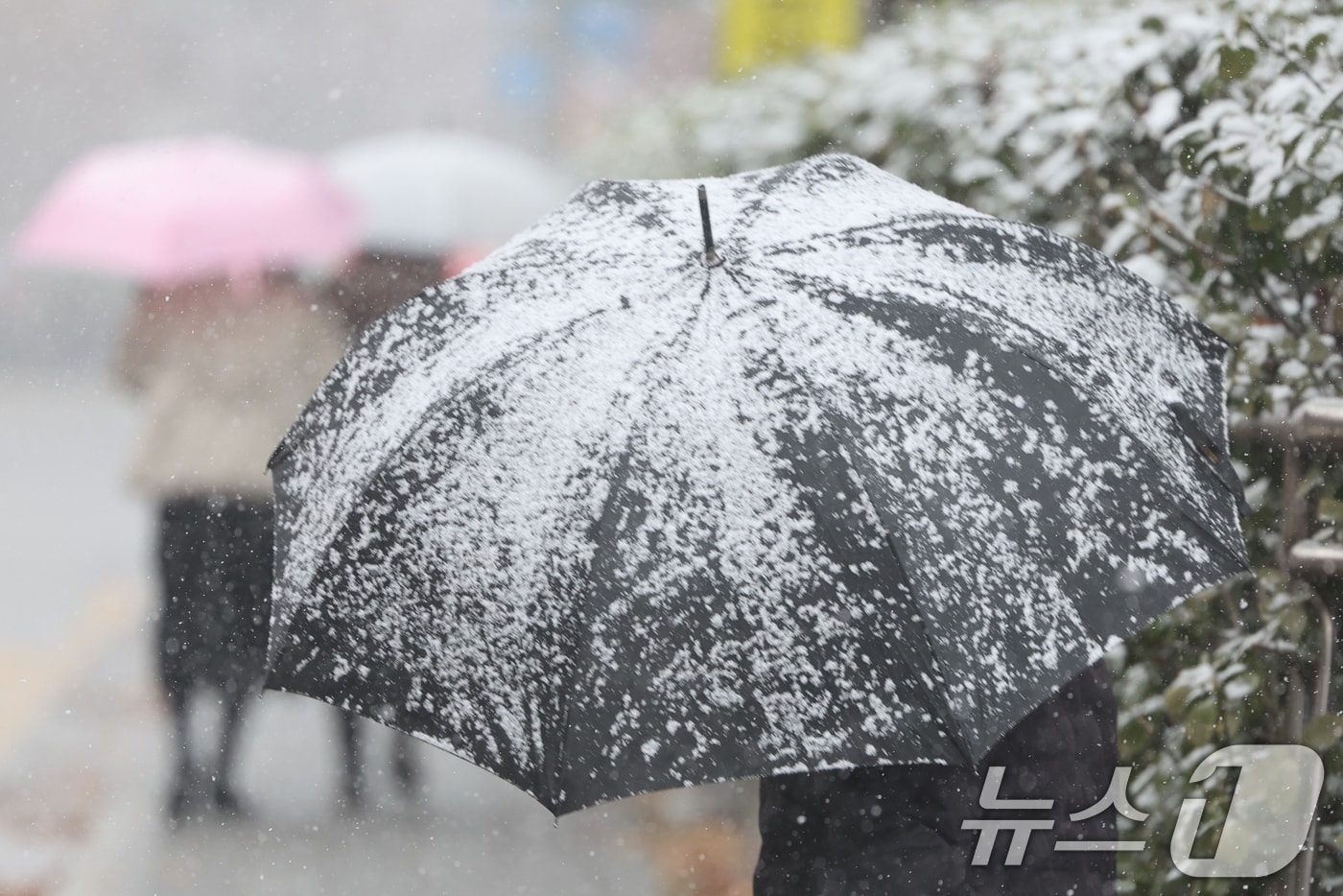 설 명절 연휴 사흘째이자 대설주의보가 발효된 27일 오후 서울 영등포구청 인근 도로에서 시민이 눈을 맞으며 발걸음을 재촉하고 있다. 2025.1.27/뉴스1 ⓒ News1 황기선 기자