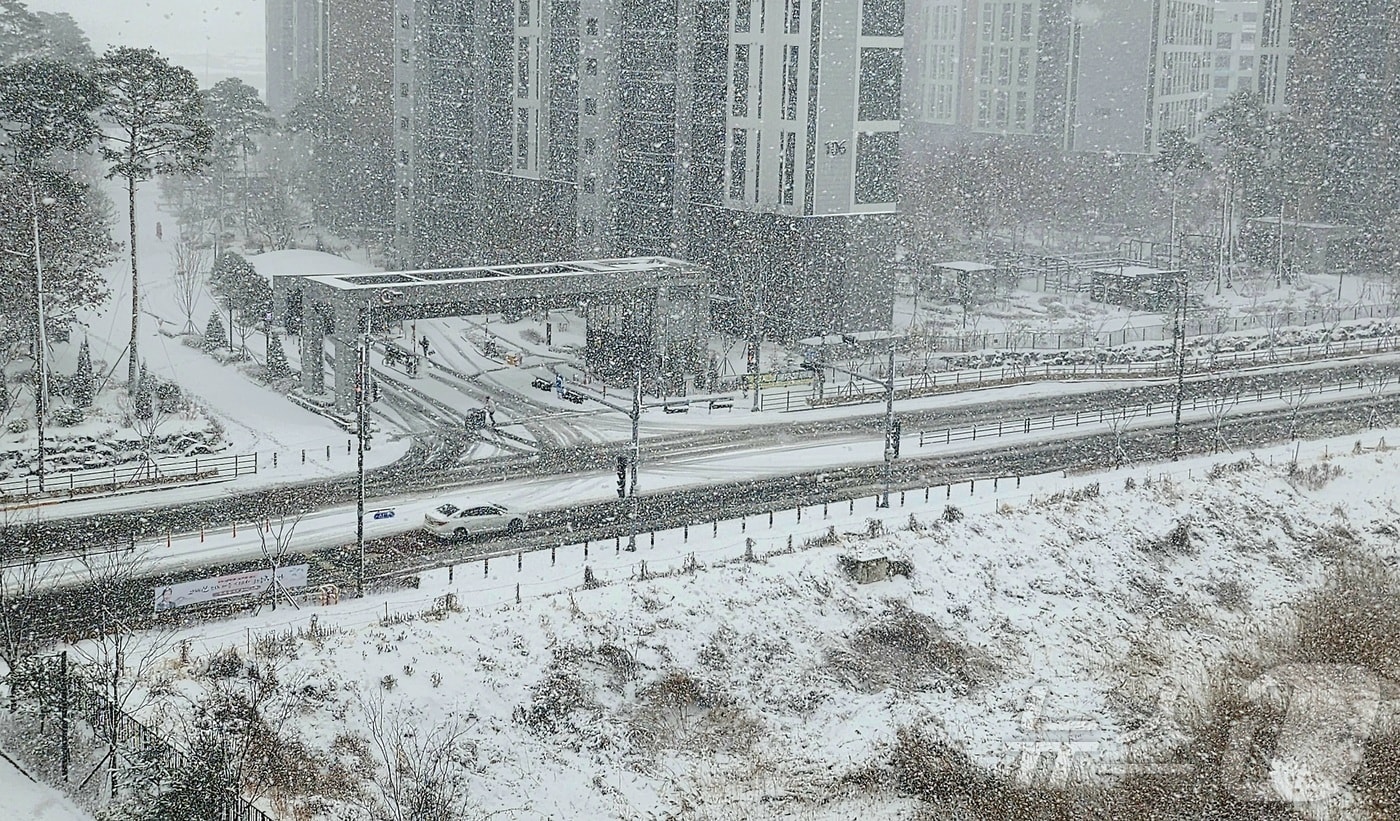 (사진은 기사 내용과 무관함) / 뉴스1 ⓒ News1