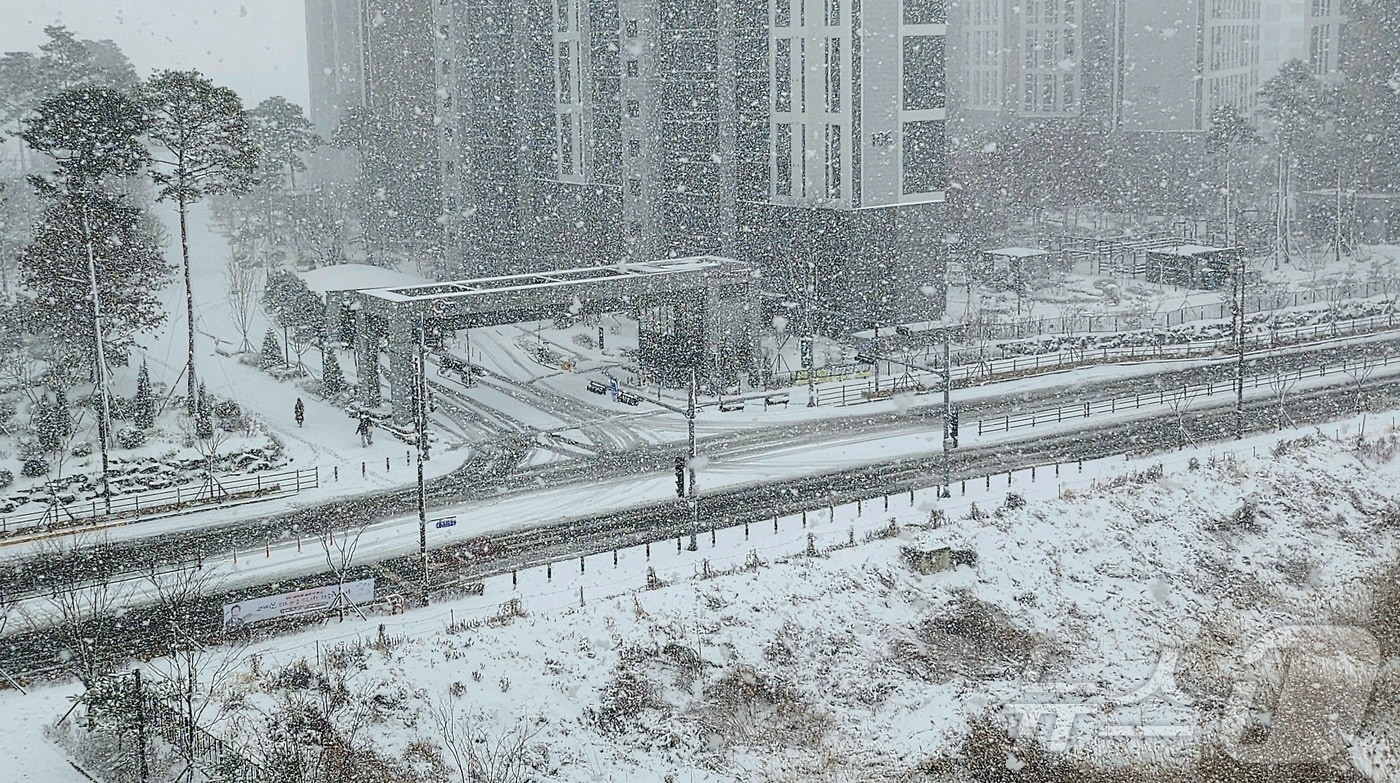 전북 전역에 대설특보가 발효된 28일 전북자치도 완주군 삼봉로 일원에 눈이 내리고 있다. 2025.1.28/뉴스1 ⓒ News1 유경석 기자