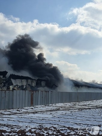 화재가 발생한 축사(김포소방서 제공) / 뉴스1