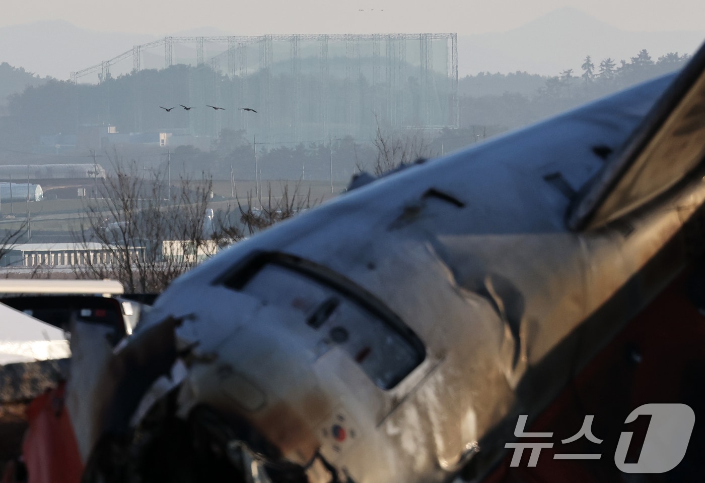 제주항공 여객기 참사 엿새째인 3일 오전 전남 무안국제공항 참사 현장 위로 철새가 날고 있다. 무안공항 주변은 88종의 조류가 출연하는 철새 도래지로, 청둥오리 등 6종 조류 충돌 위험성 분석 결과 &#39;3단계 위험 수준&#39;으로 꼽힌다. 2025.1.3/뉴스1 ⓒ News1 오대일 기자