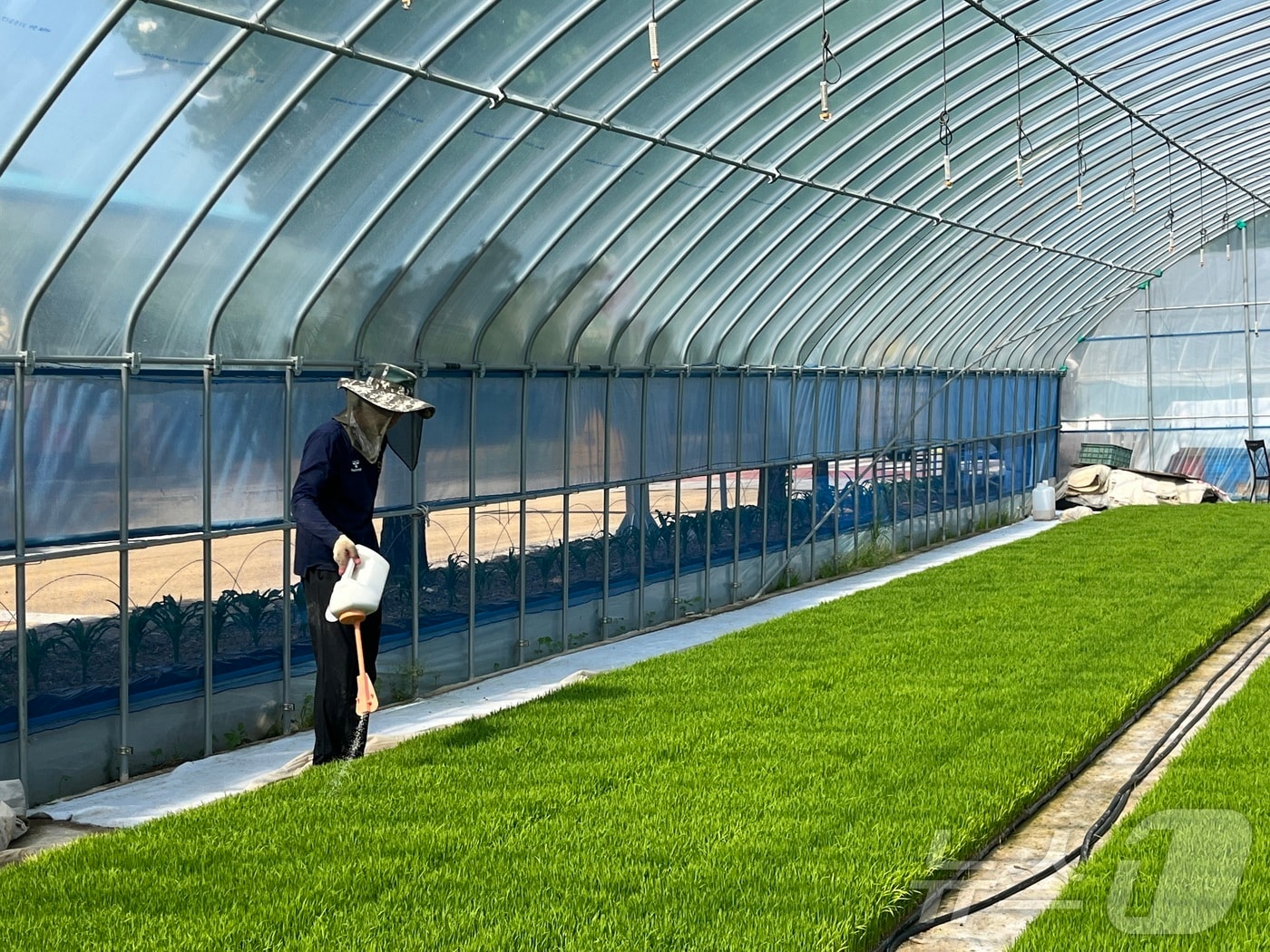 전북자치도 임실군이 오는 2월 7일까지 읍․면사무소에서 ‘벼 안전생산 사전방제 지원사업’ 접수를 받는다.(임실군제공)2025.1.31/뉴스1
