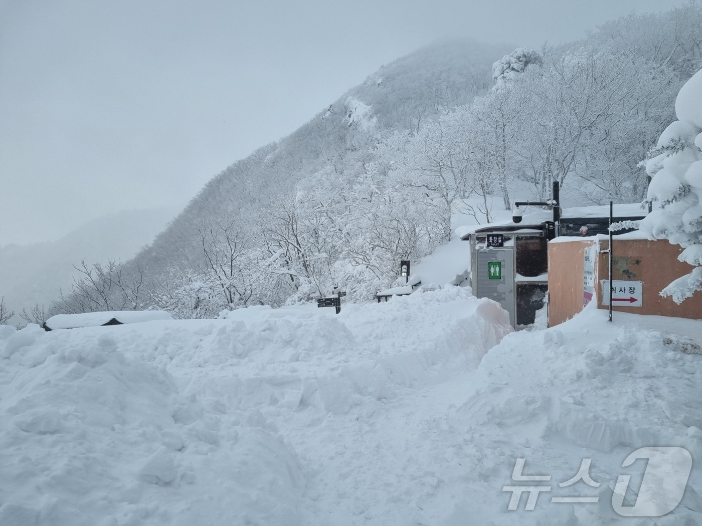 31일 전북 무주군 덕유산 삿갓재 대피소에는 26일부터 내린 눈으로 109cm가량의 눈이 쌓였다.&#40;국립공원관리공단제공&#41;2025.1.31/뉴스1 ⓒ News1 김동규 기자