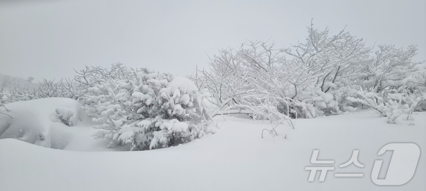 전북 무주군 덕유산 향적봉이 눈으로 장관을 이루고 있다. (국립공원관리공단제공) 2025.1.31/뉴스1 