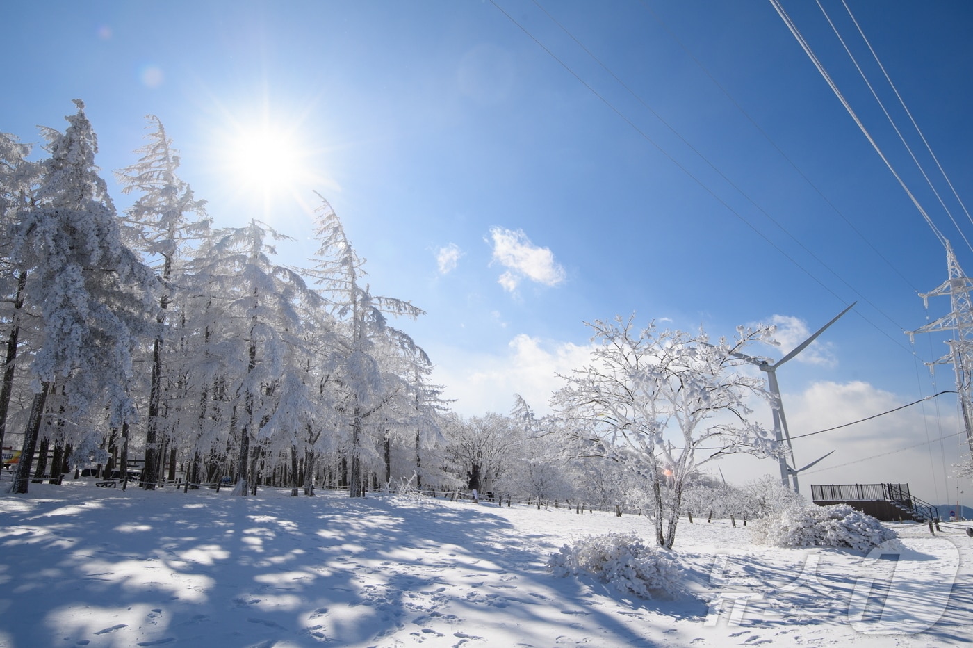 강원 정선군 고한읍 함백산 만항재 설경 자료 사진. (정선군 제공) 2025.1.6/뉴스1