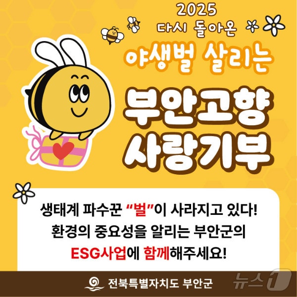부안군 고향사랑기부제 지정기부 사업 ‘야생벌 붕붕이를 지켜주세요’(부안군 제공)2025.1.6/뉴스1