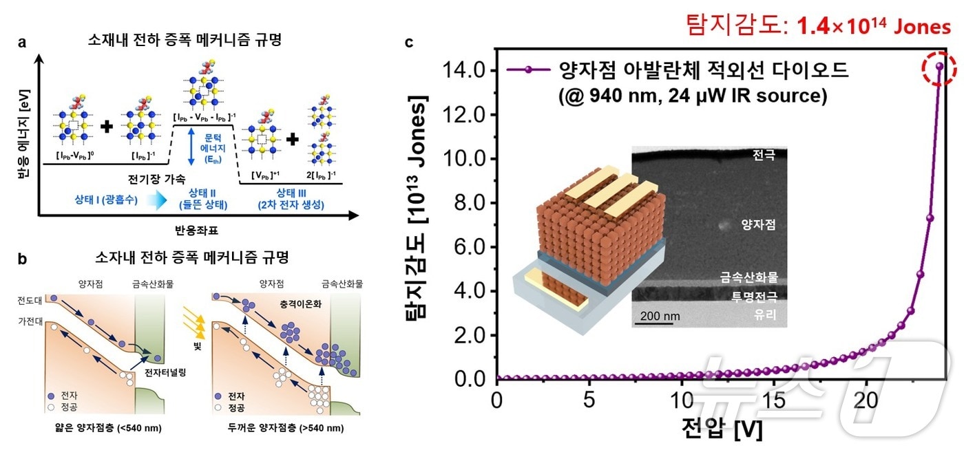 양자점 소재 및 소자에서의 아발란체 전하 증폭 메커니즘 개요도.&#40;KAIST 제공&#41;/뉴스1