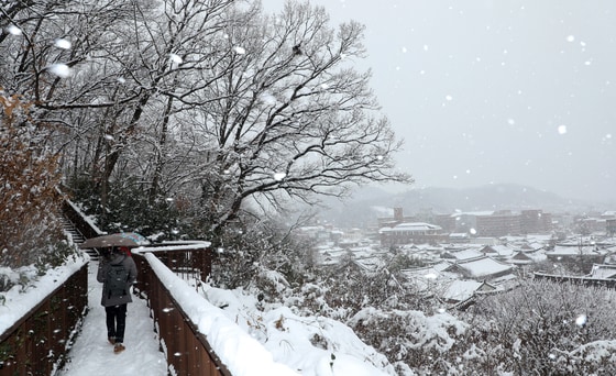 전북자치도 전주시 한옥마을 오목대 산책로에서 시민들이 눈을 맞으며 산책을 하고 있다. 2025.1.8/뉴스1 ⓒ News1 유경석 기자