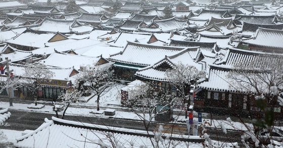 전북자치도 전주시 한옥마을에 눈이 내리고 있다. 2025.1.8/뉴스1 ⓒ News1 유경석 기자