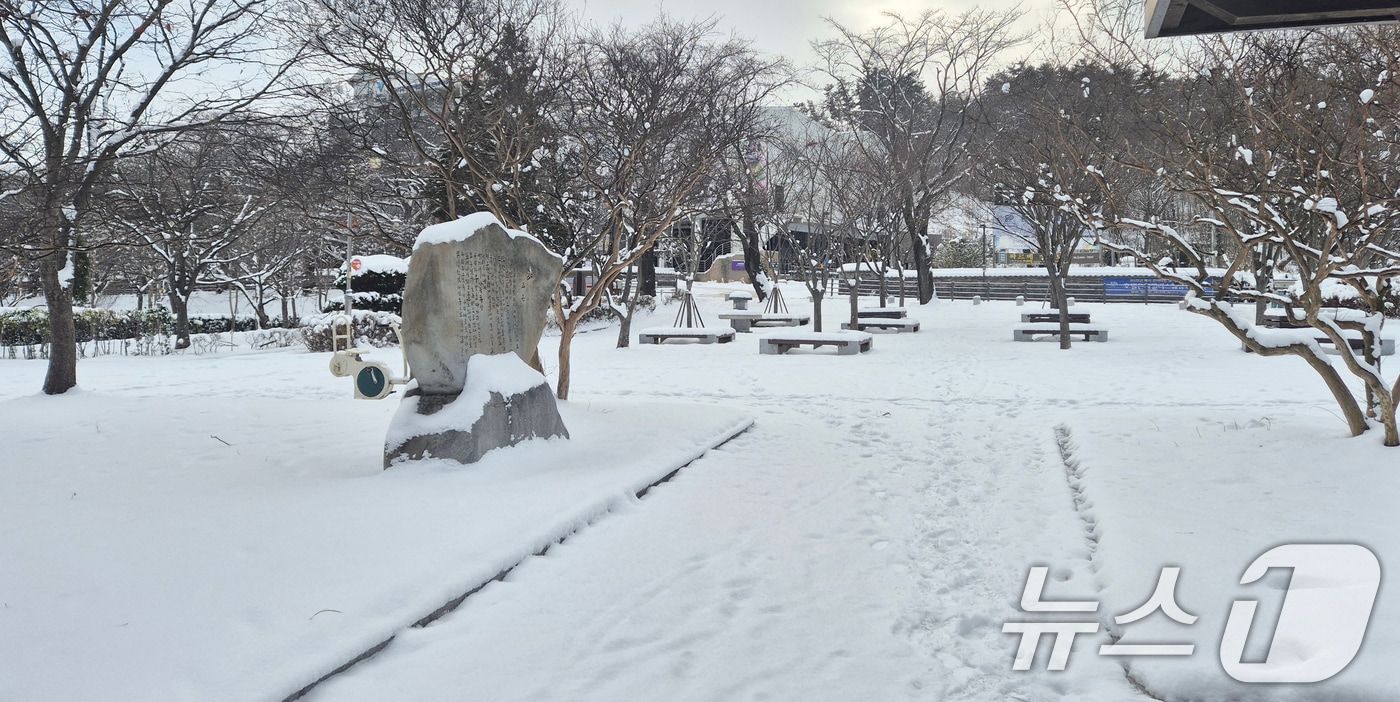 전북지역에 대설주의보가 발효된 9일 전북자치도 군산시 은파호수공원에 눈이 쌓여 있다. 2025.1.9/뉴스1 ⓒ News1 강교현 기자
