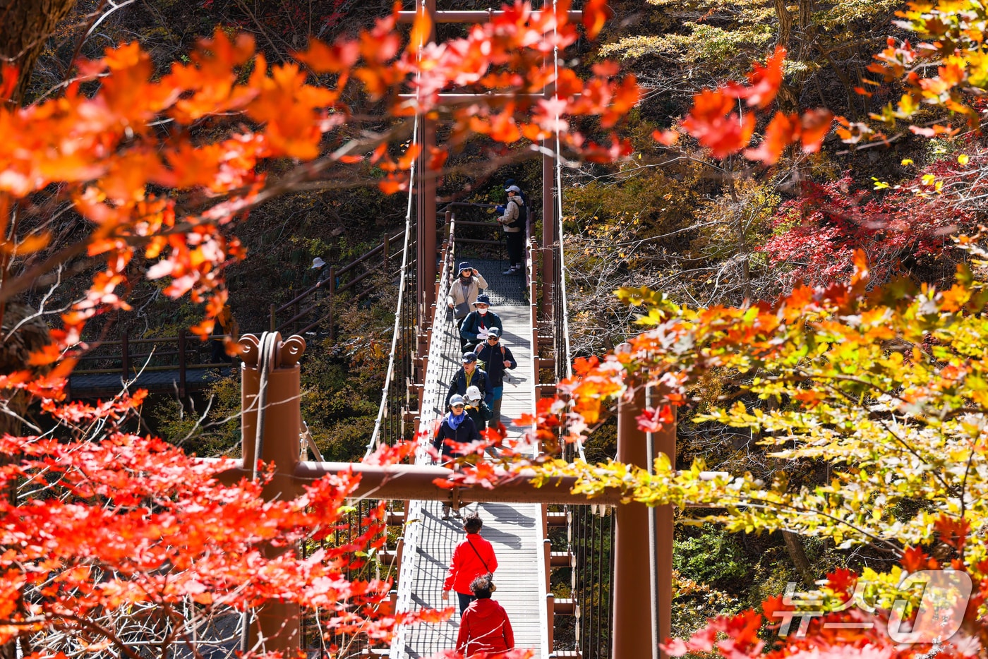 지난해 오색령 단풍사진.(양양군 제공, 재판매 및 DB 금지) 2025.10.1/뉴스1