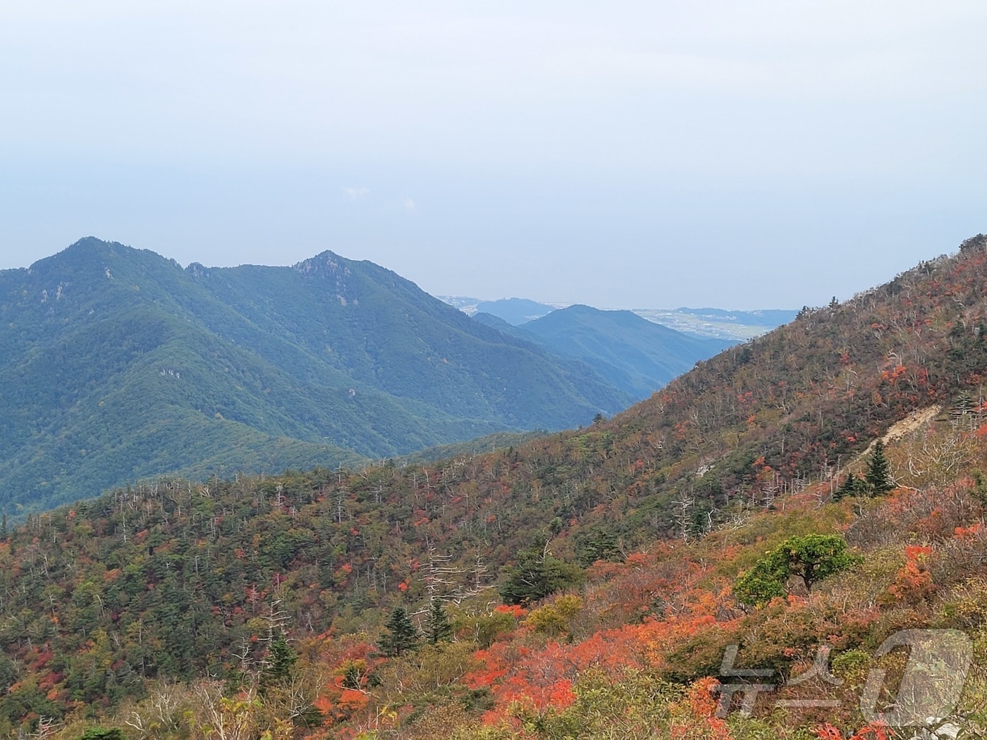 설악산 고지대를 중심으로 가을 단풍이 시작됐다. 지난 9월 30일 설악산국립공원 중청대피소와 소청봉에서 바라본 설악산의 산림의 푸름이 점점 알록달록하게 변하고 있다. 산림 50%가 물드는 단풍 절정기는 이달 말쯤 나타날 것으로 예상된다.(설악산국립공원사무소 제공, 재판매 및 DB 금지) 2025.10.1/뉴스1 ⓒ News1 윤왕근 기자