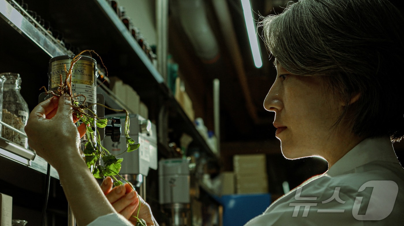 병 치료에 쓰이던 병풀, 이젠 화장품 원료로 변신 - 뉴스 썸네일 이미지