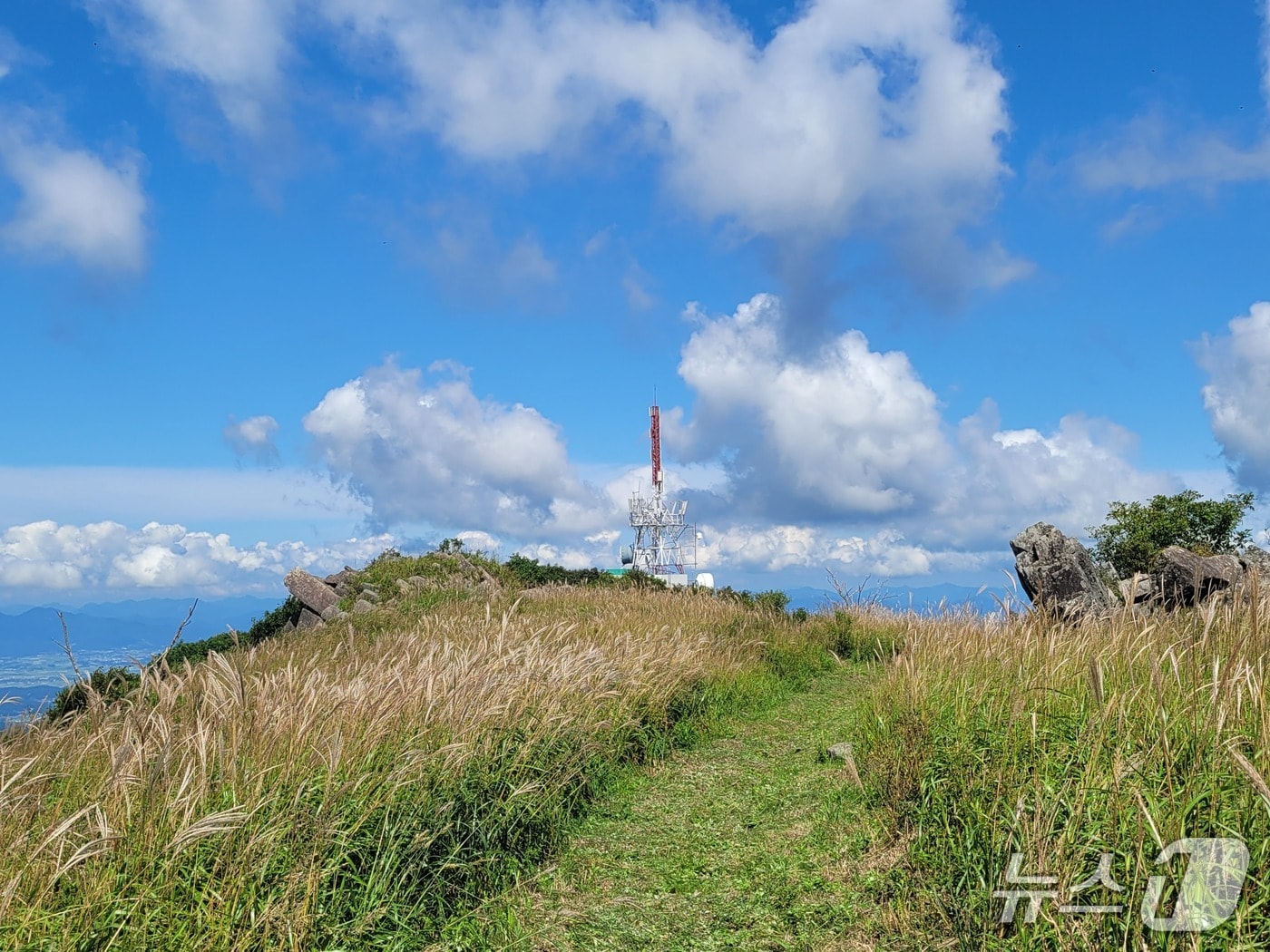 무등산 누에봉 억새군락지.(국립공원공단 무등산국립공원동부사무소 제공. 재판매 및 DB 금지