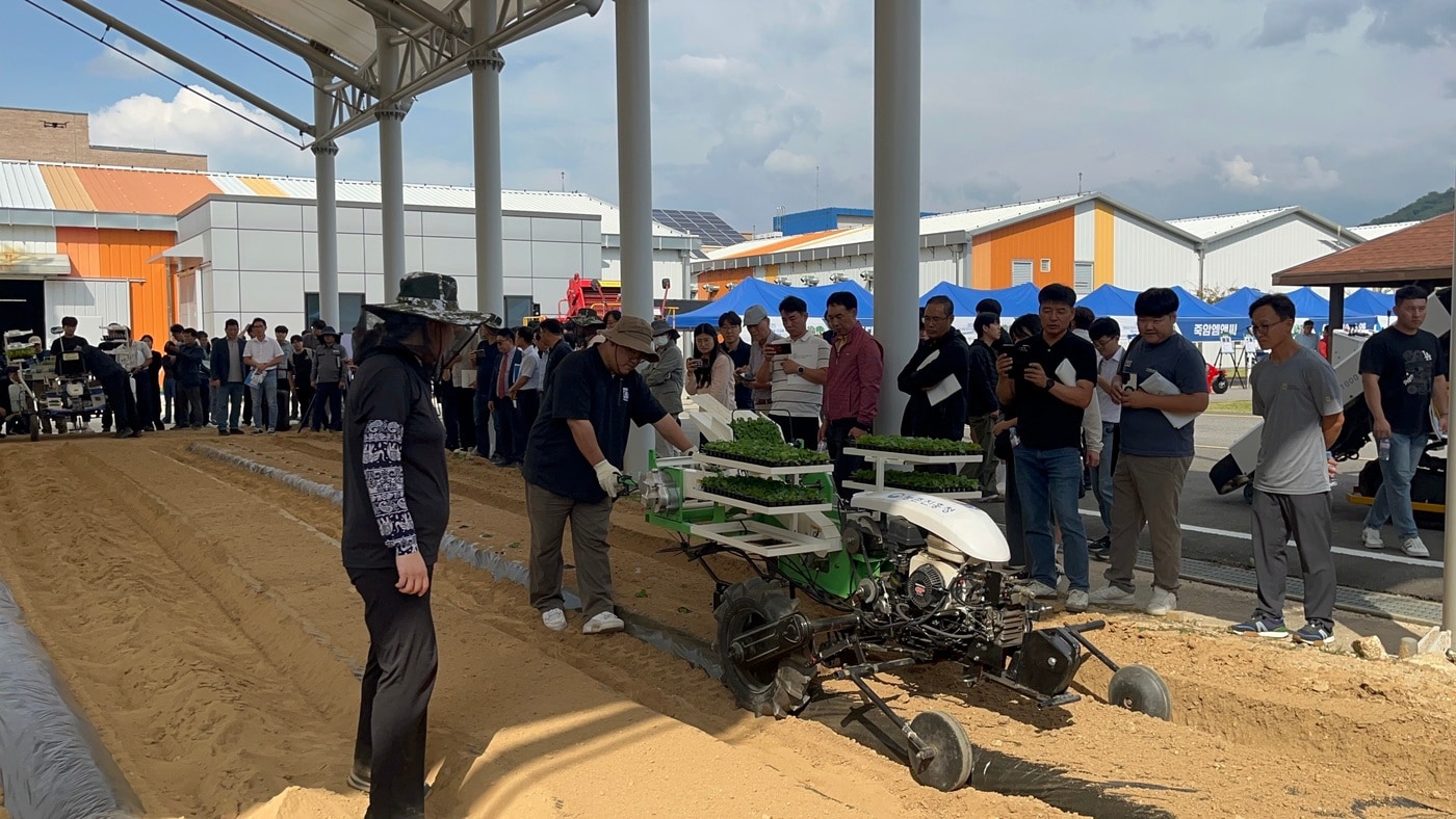 '밭농업기계 우수 기술 보급 현장 전시회'에서 보행형 정식기로 배추 모종을 심는 작업을 하고 있다. (농촌진흥청 제공) 2025.10.1 /뉴스1