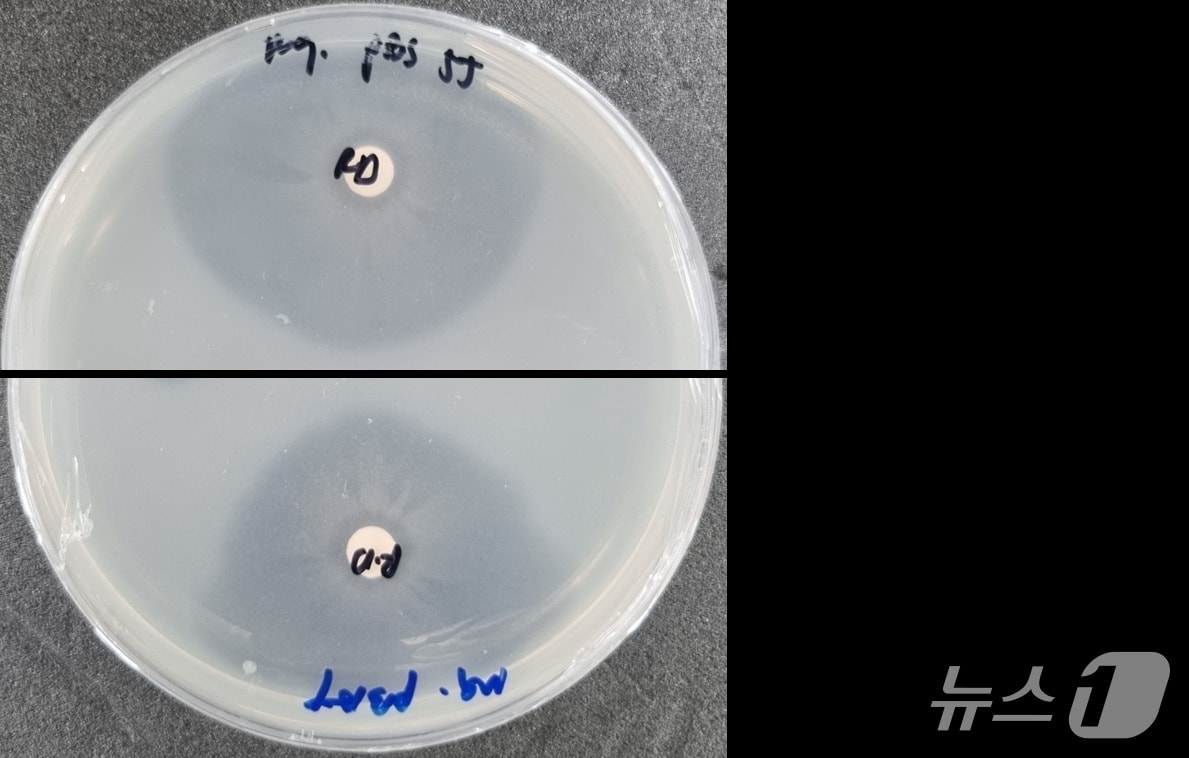 (기후부 제공) ⓒ 뉴스1