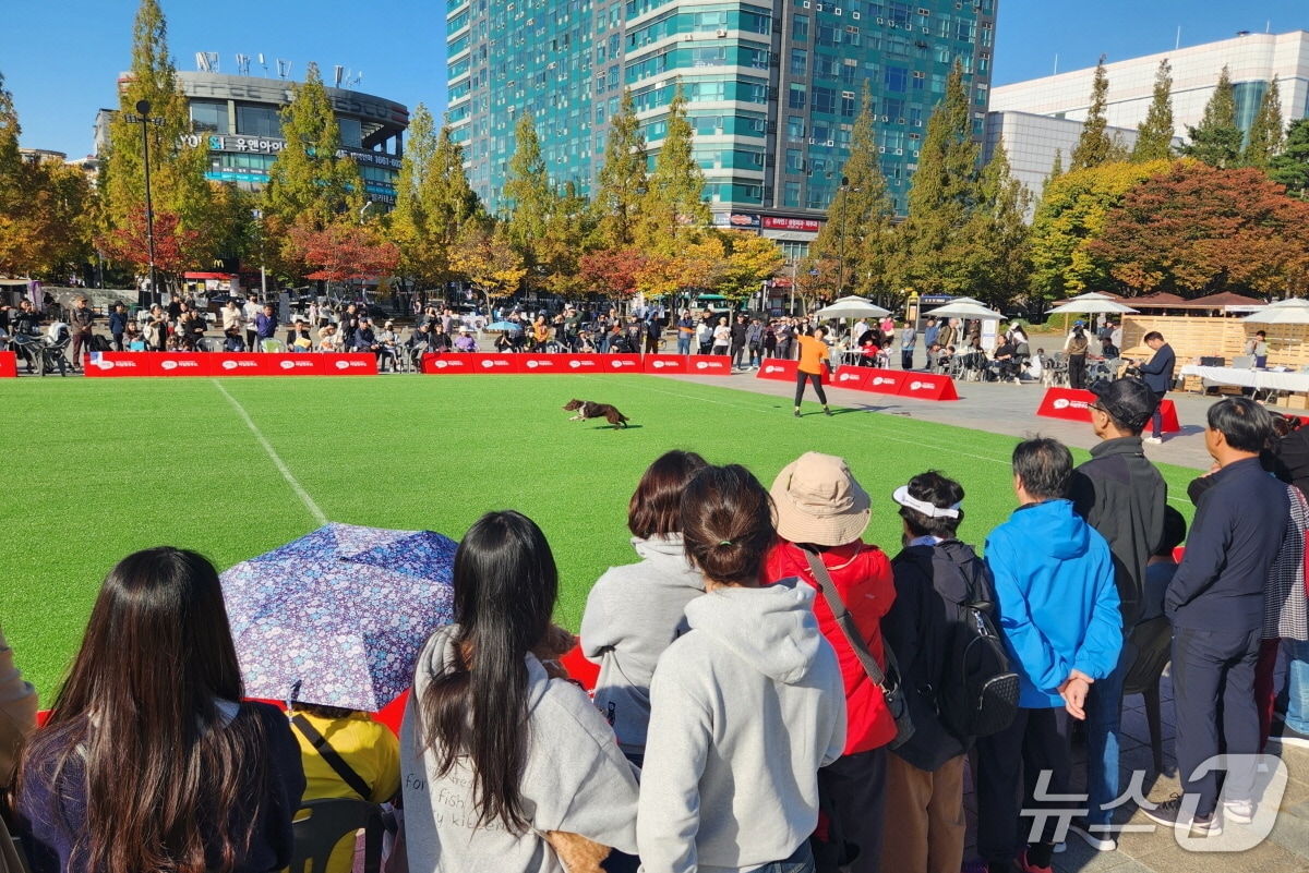 지난해 고양시 일산문화광장서 열린 &#39;동물교감치유문화제&#39; &#40;고양시 제공, 재판매 및 DB금지&#41;