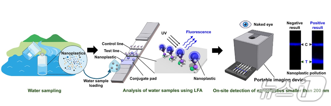 부산대 이은희 교수팀 연구 이미지. (부산대 제공. 재판매 및 DB 금지)