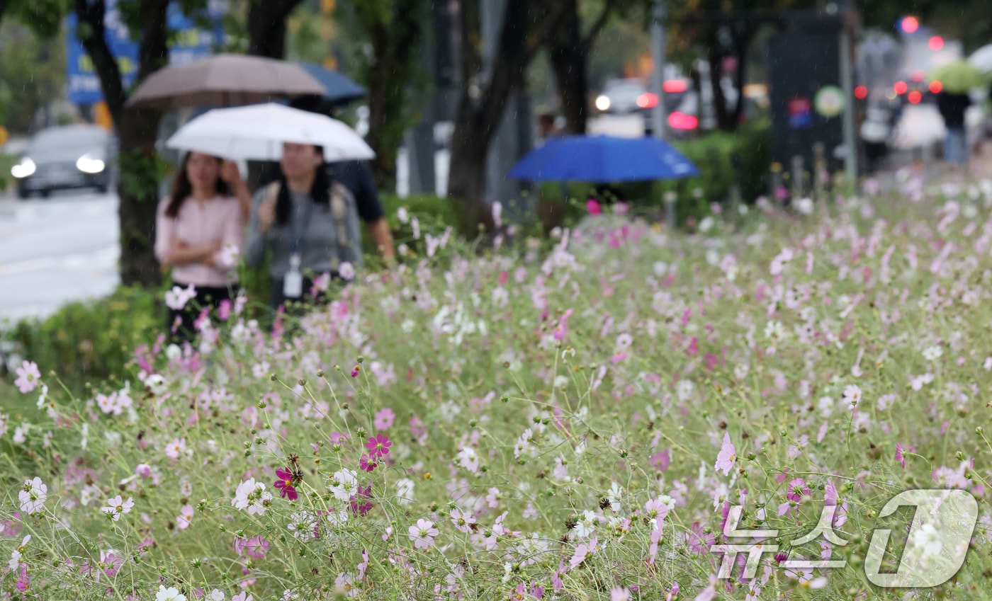 <자료사진> 2025.10.10/뉴스1 ⓒ News1 김영운 기자