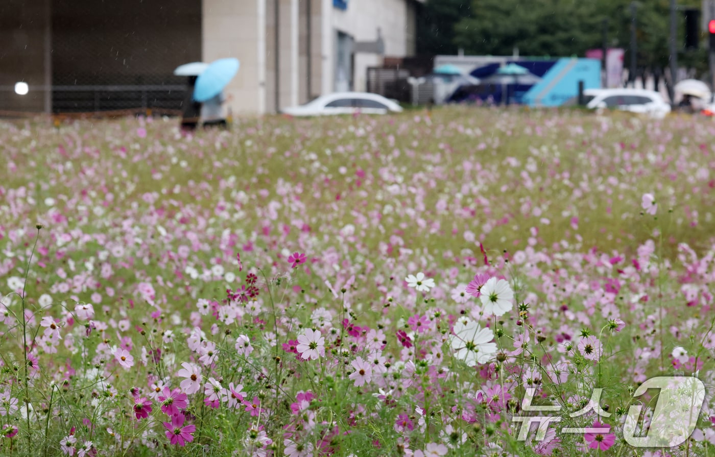 <자료사진> 2025.10.10/뉴스1 ⓒ News1 김영운 기자