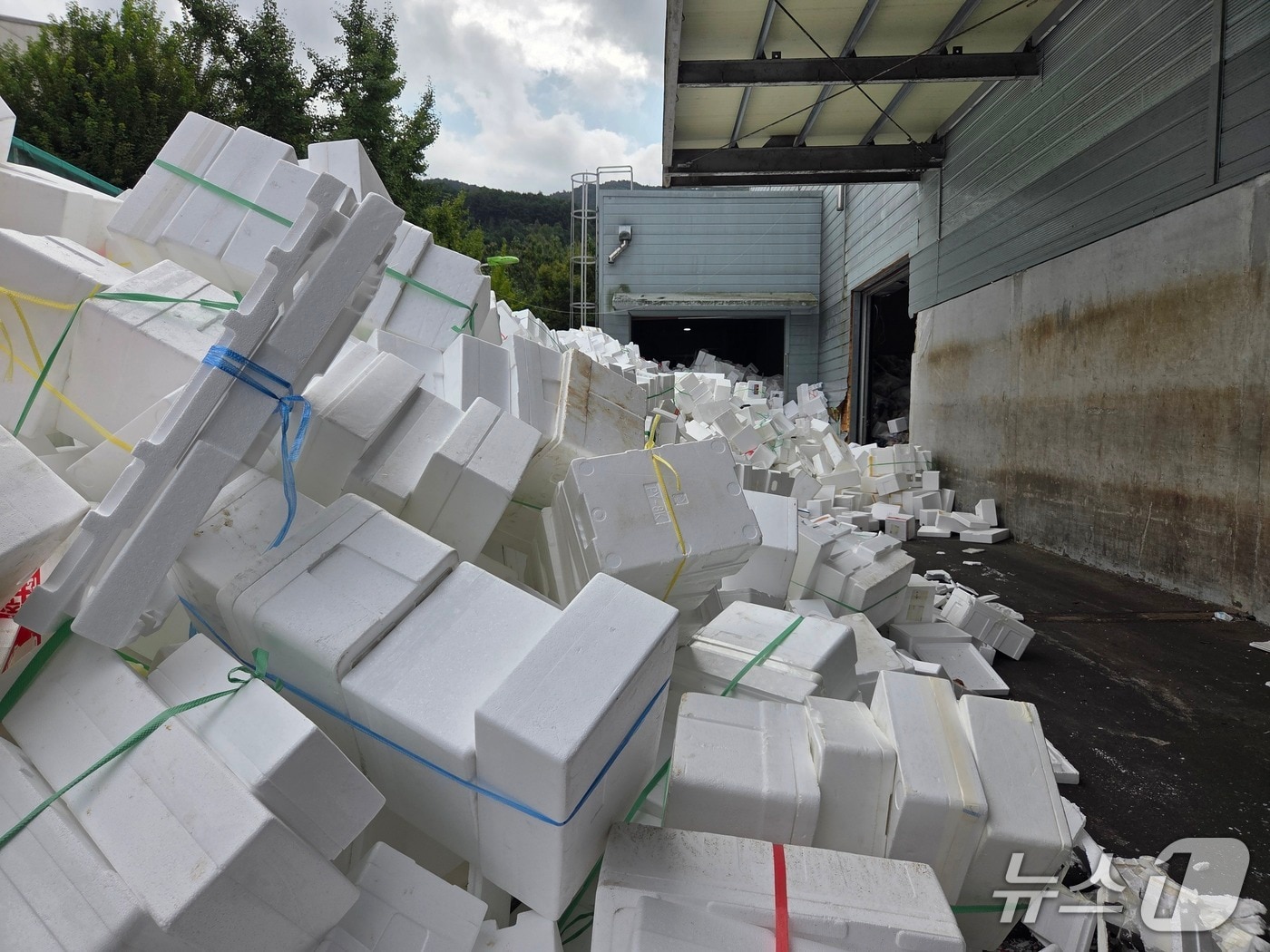 추석 연휴가 끝난 10일 대구 수성구 생활자원 회수센터에 스티로폼이 산더미처럼 쌓여 있다.2025.10.10/뉴스1 ⓒ News1 이성덕 기자