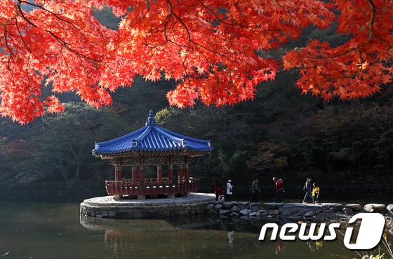 내장산 우화정과 단풍./뉴스1