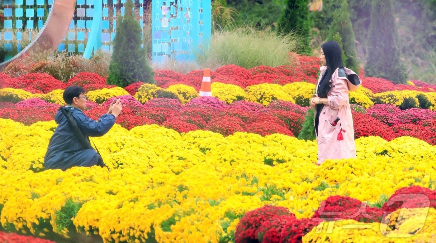 지난 11일 강원 인제 북면 용대리 일원에서 열리는 가을꽃 축제장을 찾은 관광객들이 우산을 쓰고 가을 정취를 만끽하고 있다. 지난달 27일 개막한 축제는 ‘인제에서 꽃길만 걷자’를 주제로 오는 19일까지 이어진다. (인제군 제공. 재판매 및 DB 금지) 2025.10.11/뉴스1 ⓒ News1 한귀섭 기자