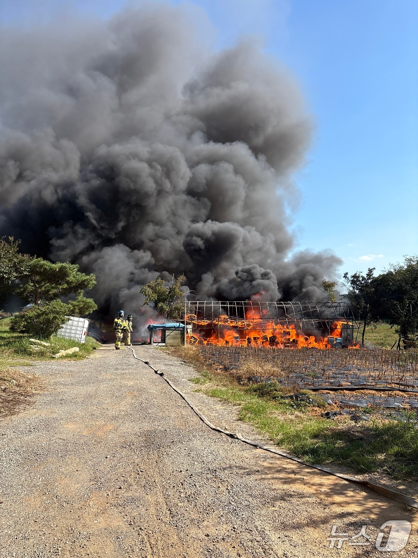 정읍시 신태인읍 비닐하우스 화재 현장.(전북소방본부 제공. 재판매 및 DB금지)