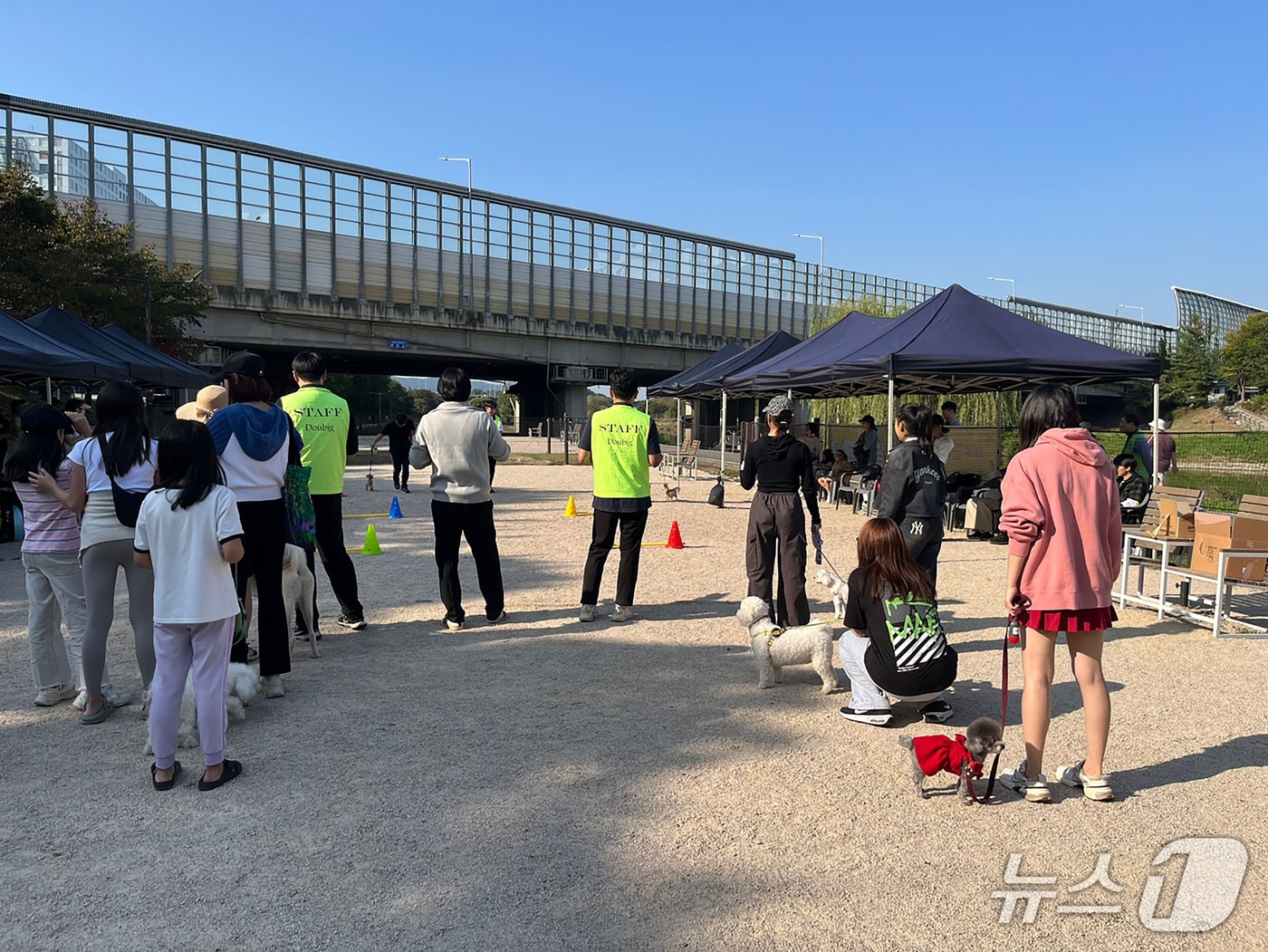 &#40;성남시 제공. 재판매 및 DB금지&#41;