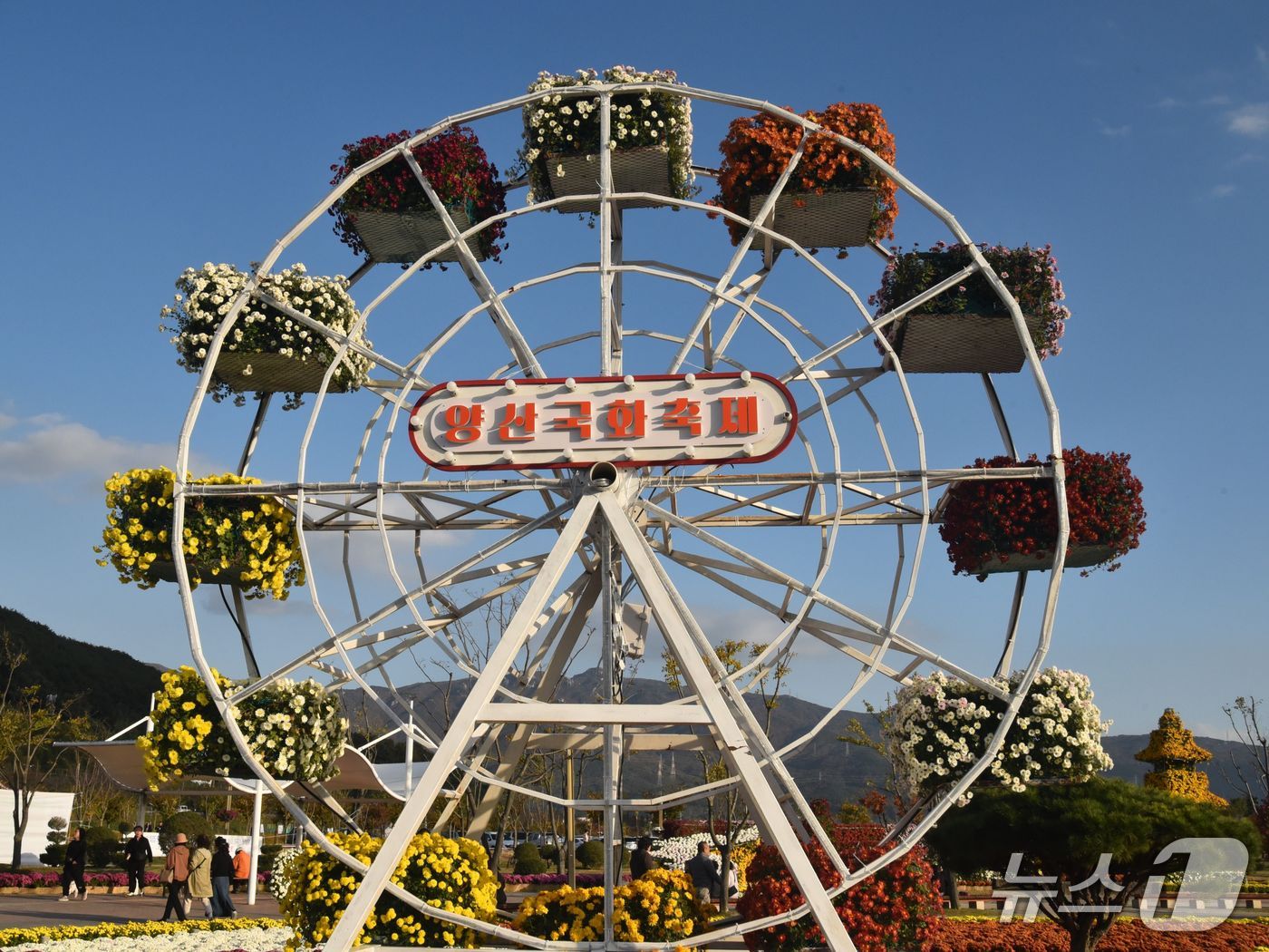 '2025 양산국화축제'가 24일 황산공원에서 개막한다.(양산시 제공. 재판매 및 DB금지)