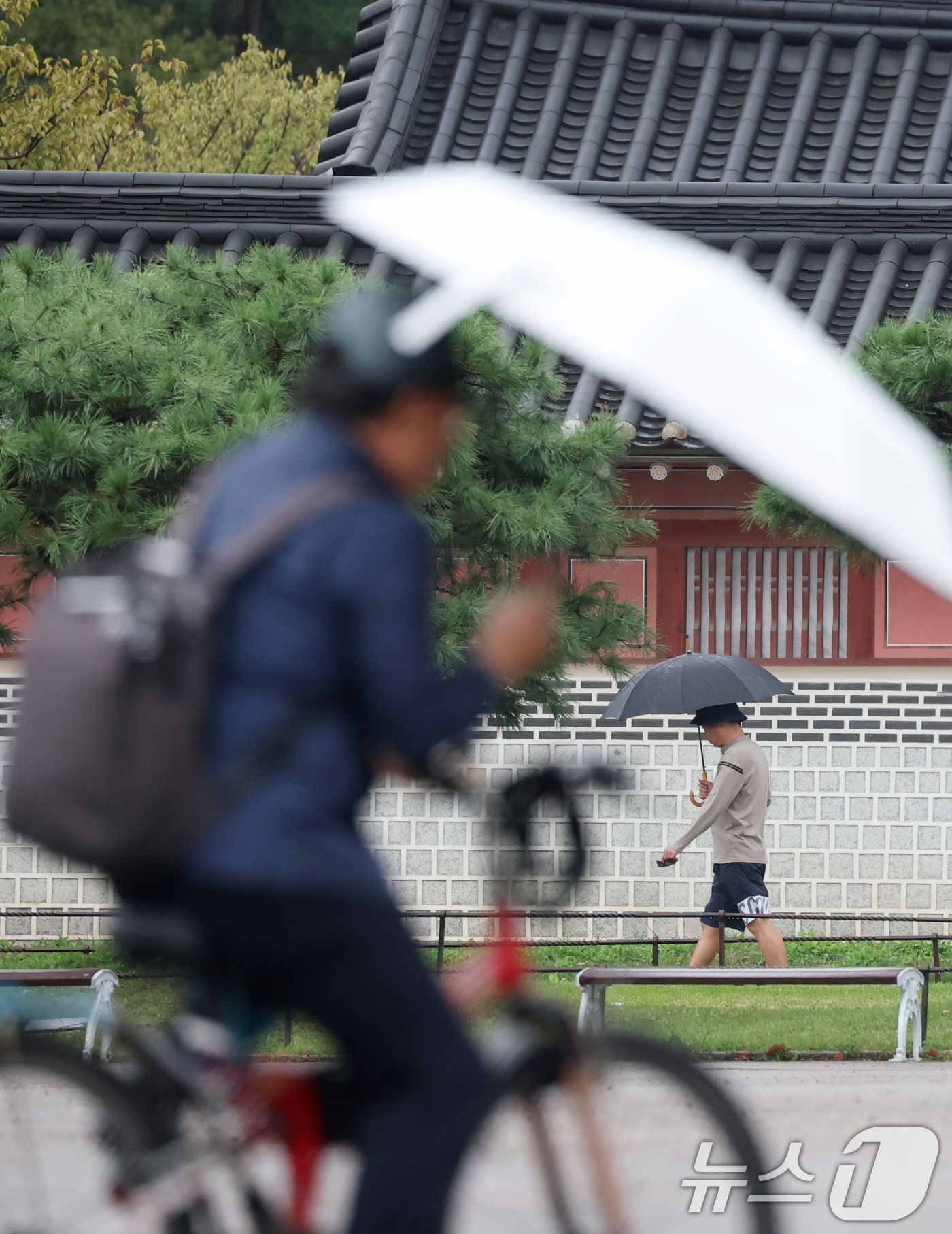 시민들이 우산을 쓰고 걸어가고 있다. ⓒ News1 김영운 기자(사진은 기사 내용과 무관함)