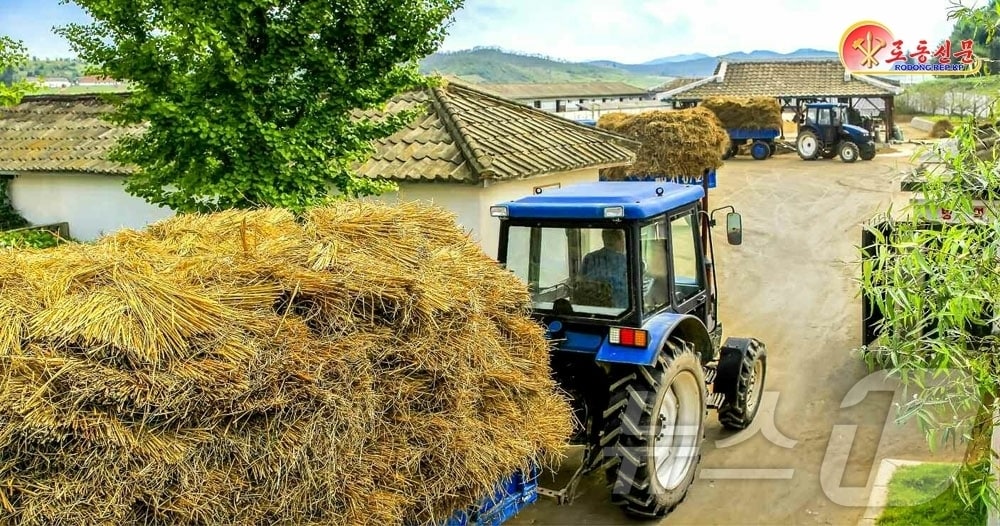 &#40;평양 노동신문=뉴스1&#41; = 북한 노동당 기관지 노동신문은 14일 농업 근로자들에게 &#34;모든 힘을 총집중해 가을철 영농사업을 와닥닥 해제끼자&#34;라고 당부했다. [국내에서만 사용가능. 재배포 금지. DB 금지. For Use Only in the Republic of Korea. Redistribution Prohibited] rodongphoto@news1.kr