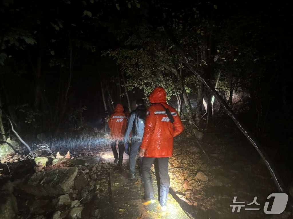 충북 영동군 양산면 천태산에서 80대 노인이 실종돼 소방 당국이 이틀째 수색을 하고 있다.&#40;영동소방서 제공. 재판매 및 DB금지&#41; /뉴스1 